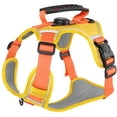 thumbnail image 2 of Dog Harness with Leash and GPS Pocket, Adjustable Chest Vest for Small and Medium Dogs, Hands Free Walking Harness, Durable Outdoor Pet Harness, 2 of 3
