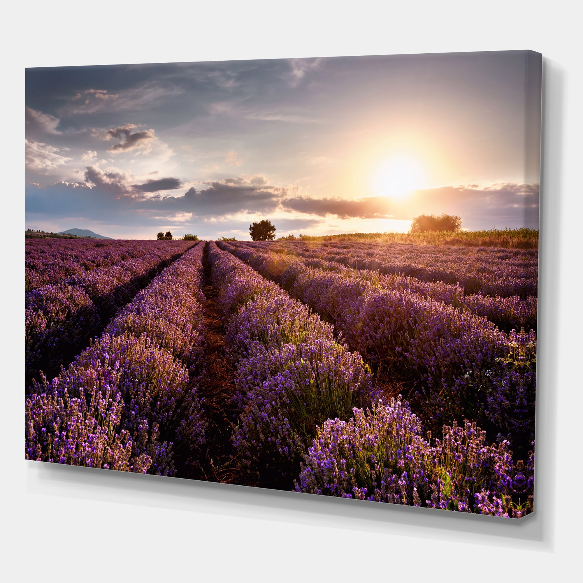 Designart ' Dramatic Clouds and Sunrise Over Lavender Field V ' Farmhouse Canvas Wall Art Print