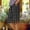 Black, variant on Checkered Shorts for Women Cotton and Linen with Pockets Color Block Straight Leg Shorts Elastic Waist Side Split Shorts Comfortable Loose Breathable Fashion Shorts Holiday Picnic Party S