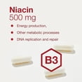 thumbnail image 4 of Protocolo de suplemento: niacina, 500 mg, hexanicotinato de inositol, 90 cápsulas, 4 of 8
