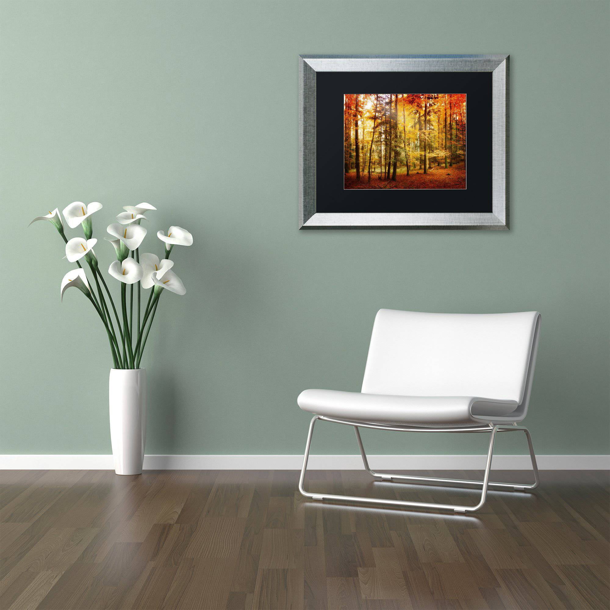Trademark Fine Art "Fall Color" Canvas Art by Philippe Sainte-Laudy Black Matte, Silver Frame