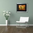 thumbnail image 3 of Trademark Fine Art "Fall Color" Canvas Art by Philippe Sainte-Laudy Black Matte, Silver Frame, 3 of 4