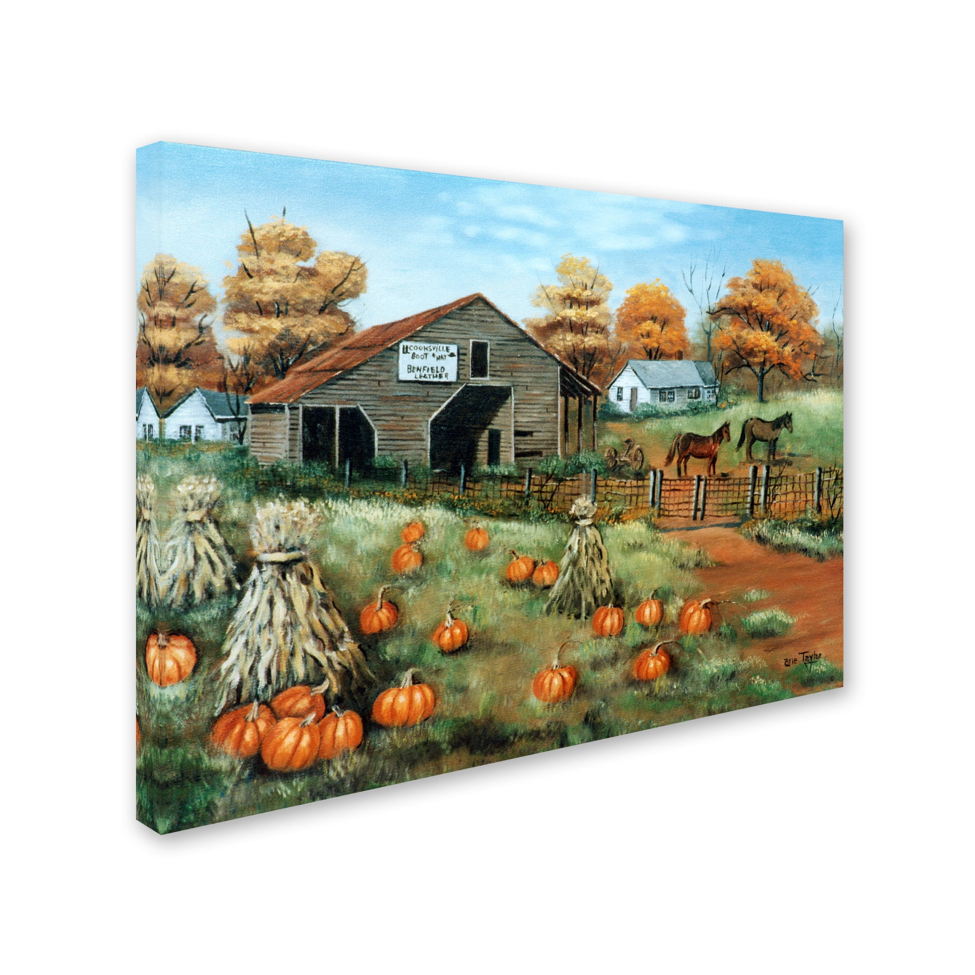 Trademark Fine Art 'Cooksville Barn' Canvas Art by Arie Reinhardt Taylor