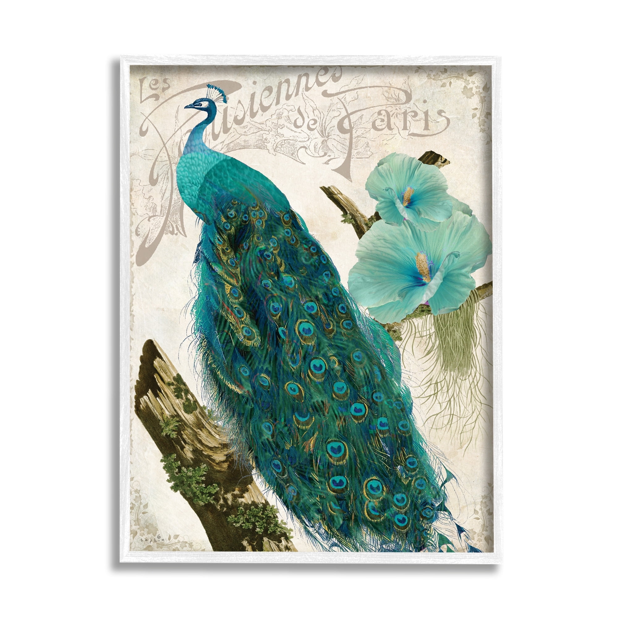 Stupell Industries Vintage Parisian Peacock Patterned Bird Blue Hibiscus Flower, 16 x 20, Design by Sophie 6
