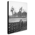 thumbnail image 2 of Trademark Fine Art "Kentucky Horse Sunrise BW" Canvas Art by Preston, 2 of 3