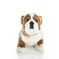 thumbnail image 1 of THE QUEEN'S TREASURES 18 Inch Doll Accessories, Officially Licensed Little House on The Prairie Jack The Bulldog, Comes with a Jute Rope Collar, Pet Companion Compatible for Use with American Girl, 1 of 5