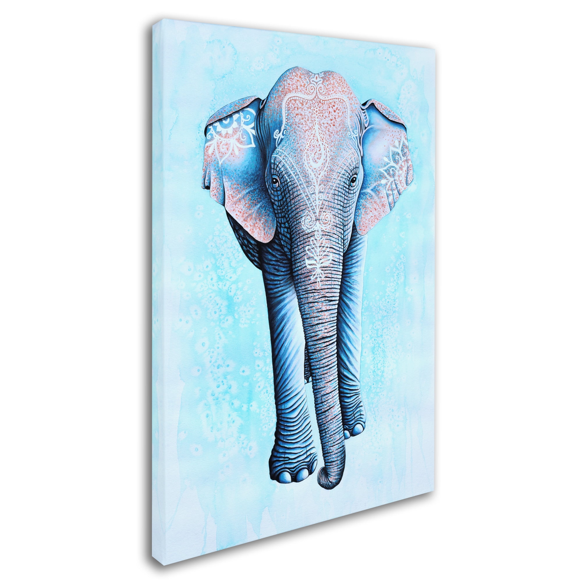 Trademark Fine Art 'Painted Asian Elephant' Canvas Art by Michelle Faber