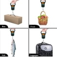 thumbnail image 4 of Digital Fish Scale With Ruler And Catch, 110 Lb/50 Kg Portable Hanging Fish Scale, Luggage Weighing Scale ,Multiple Functions, 4 of 5