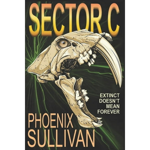 Sector C (Paperback)