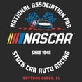 thumbnail image 2 of Men's Mad Engine  Charcoal NASCAR Logo Flag Graphic T-Shirt, 2 of 5
