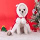 thumbnail image 3 of Capa con CAPUCHA DE NAVIDAD para gato, disfraz de perro, capa con sombrero, lindo gatito, cachorro, Poncho rojo, bata de Cosplay de Santa Claus para fiesta de navidad, 3 of 4