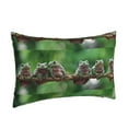 thumbnail image 2 of Bixox Australian White Tree Frog Printed Pillow Protector,Super Soft Ideal for Home,Guests,Rentals - 16"x24", 2 of 8