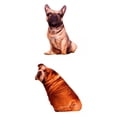 thumbnail image 1 of Cojines Suaves con Estampado de Mascotas, Paquete de 2, Lavables y Cómodos, 1 of 9
