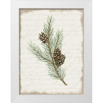 Jacobs, Cindy 15x18 White Modern Wood Framed Museum Art Print Titled - Pine Cone Botanical II