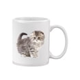 thumbnail image 2 of A Fluffy Kitten Mug  -Image by Shutterstock,, 2 of 4