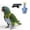 Blue, variant on Bird Outdoor Training Harness and Leash for Parrots, Adjustable Flight Suit, Escape-Proof Aviary Gear for Small Birds