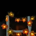 thumbnail image 6 of Utoimkio Christmas And Thanksgiving Decorations Light Up Autumn Garlands Home Indoor And Outdoor Home Decorations Christmas Decorations Party And Thanksgiving Gifts Wate, 6 of 8