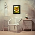thumbnail image 4 of OToole, Tim 12x14 Black Modern Framed Museum Art Print Titled - Tropical Bird of Paradise, 4 of 5