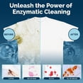 thumbnail image 5 of STEAM AND GO 3-in-1 Ultra Concentrated Dissolvable Laundry Detergent Sheets, Boutique Hotel Scent, 30 Count, 5 of 8