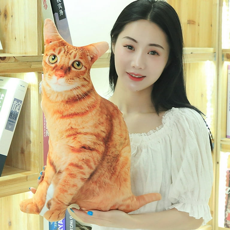 3d cat pillow 2025
