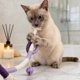 thumbnail image 3 of Juguete interactivo de tela para gatos, cuerda de dentición para gatitos y gatos adultos, masaje de encías y limpieza dental, juego de mordeduras en interiores, 3 of 7