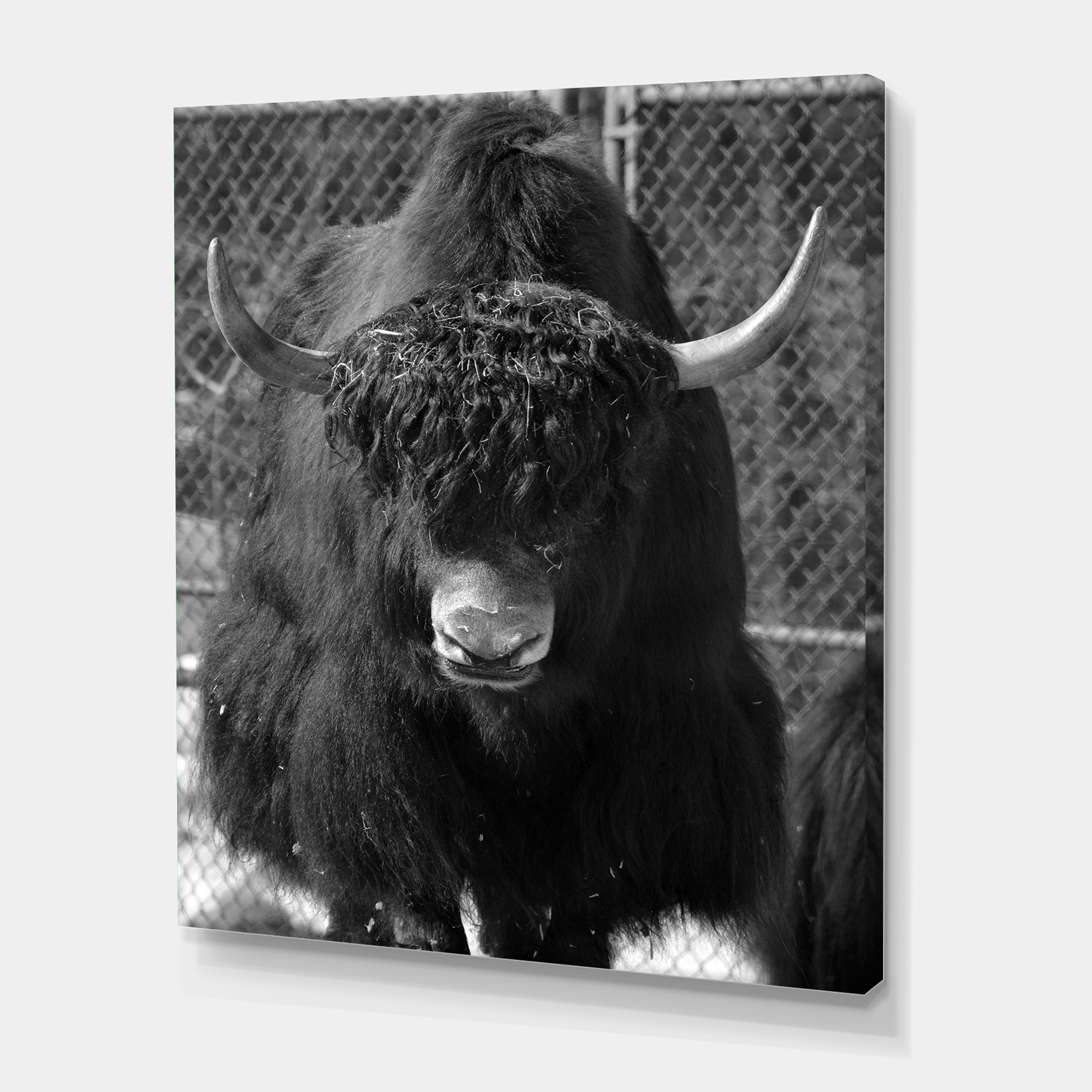 Designart ' Portrait Of Monochrome Wild Bull In Winter Forest II ' Farmhouse Canvas Wall Art Print