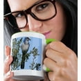 thumbnail image 2 of 3drose, Florida. Scrub Jay Bird - Na02 Aje0252 - Adam Jones, 15oz Two-tone Green Mug, 2 of 6
