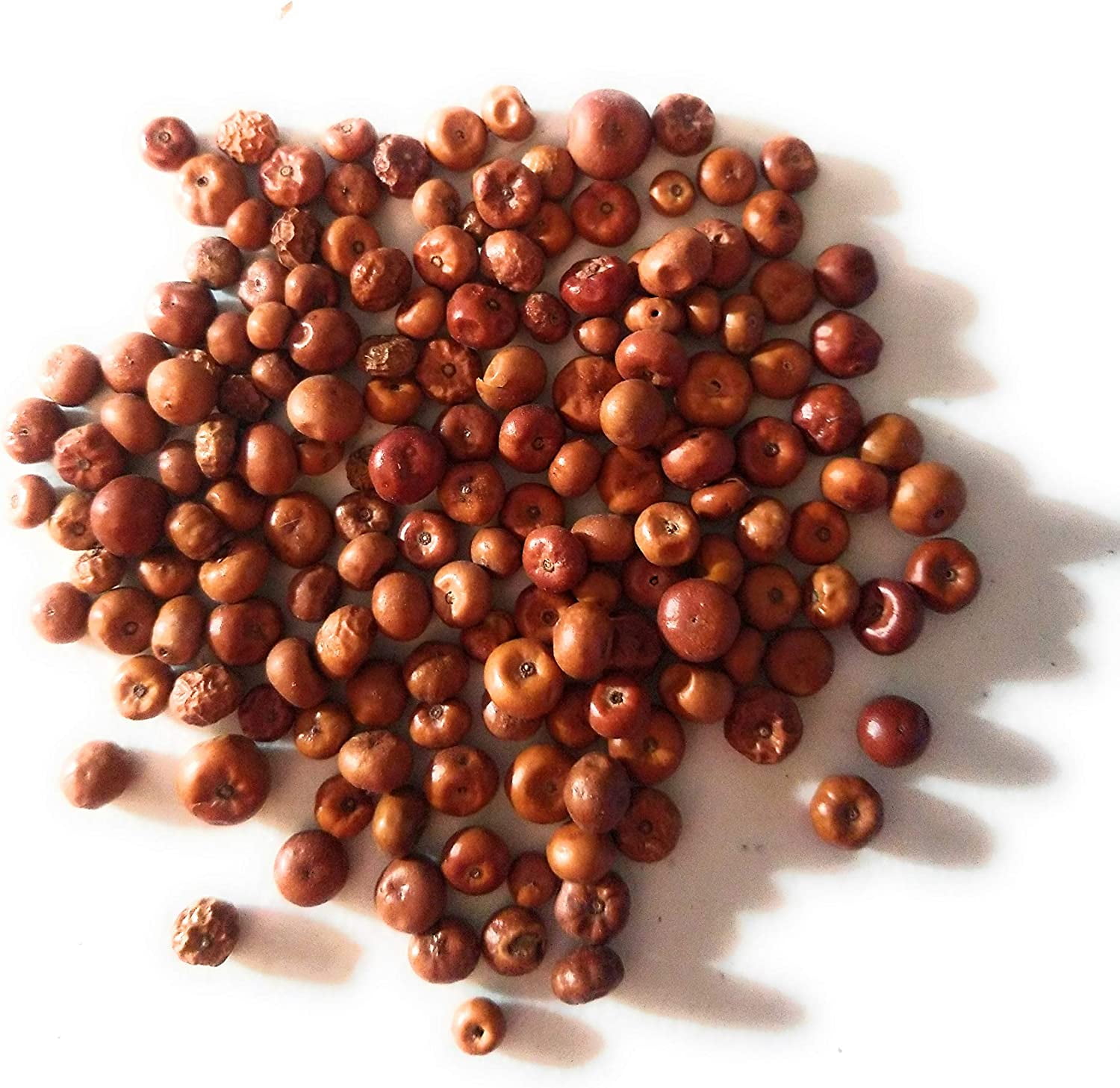 El Indio Pinguica Fruto/Uva Ursi Berries 3-Pack of 1/2oz (14gr) Each.