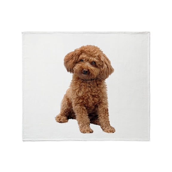 CafePress - Poodle (Apricot2) Throw Blanket - Soft Fleece Throw Blanket, 50"x60" for All Ages