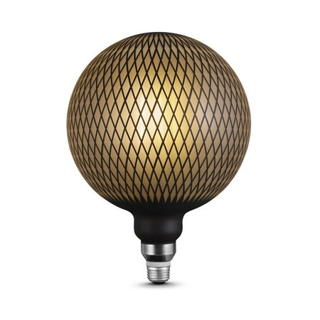 

Globe Electric Modern Black Luxury Oversized 6W E26 Frosted LED Bulb 35677
