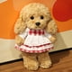 thumbnail image 4 of Peluche de perro creativo, vestido de peluche, animal suave y realista, muñeco de perro marrón, decoración para el hogar y la oficina, regalos para niñas y niños, 4 of 5