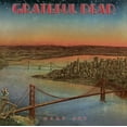thumbnail image 2 of Dead Set (X) (2LP) & Dick’S Picks Vol. 19: 10/19/73 Oklahoma City Fairgrounds Arena, Oklahoma City, Ok (Limited/180G/6LP), 2 of 3