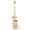 Yellow, variant on Tongue Scraper and Replaceable Tongue Brush, Cartoon Dual Sided Oral Care Tool for Fresh Breath, Hygiene Scraper for Tongue Cleaning and Oral Health