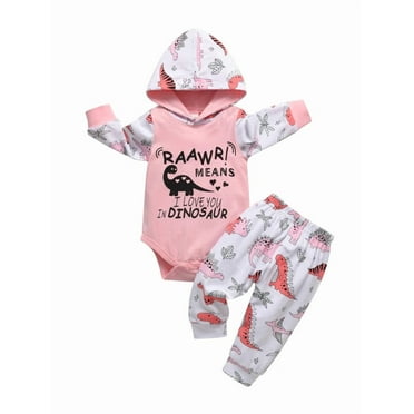 Infant Baby Girl Clothes Long Sleeve Letter Romper Hooded Cartoon Pattern Pants Outfits Set Pink 0-3 Months