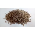 thumbnail image 2 of Cumin Herb Seeds/ Annual/ Full Sun/ 36K Seeds 1/4lb/ Zellajake Farm and Garden - B153, 2 of 5
