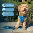 thumbnail image 2 of Best Pet Supplies Voyager Step-In Flex Adjustable Mesh Dog Harness, 2 of 9