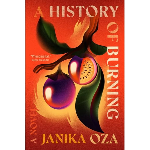 Pre-Owned A History of Burning (Hardcover) 1538724243 9781538724248