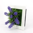 thumbnail image 3 of Foto de las plantas Plantas de simulación artificial Colgante de pared 3D / Flores de escritorio Pla CACAGOO 1, 3 of 7