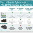 thumbnail image 5 of Organic Houseplant Probiotic Powder  Soil Conditioner to Improve Soil Structure, Balance pH, Enhance Soil Bioavailability and Improve Growth, Blooms, Yield  Fast Acting  Indoor and Outdoor Plants, 5 of 9