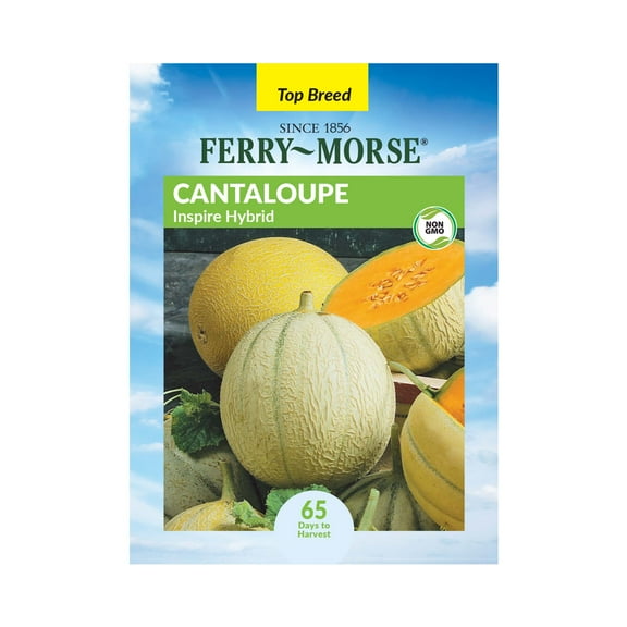 Ferry-Morse 950MG Cantaloupe Inspire Hybrid Annual Fruit Seeds, Full Sun