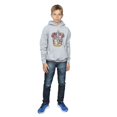 thumbnail image 4 of Harry Potter Boys Gryffindor Distressed Crest Hoodie, 4 of 5