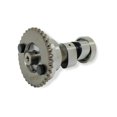 thumbnail image 1 of ARBOL LEVAS ITALIKA 250 Z (19-24) (6 CAMBIOS) (WSTD), 1 of 3