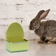 thumbnail image 1 of Comedero para conejos para jaula, comedero colgante para conejos, cuenco de agua antivuelco, para pájaros, hámsters, chinchillas y hurones. Verde, 1 of 10