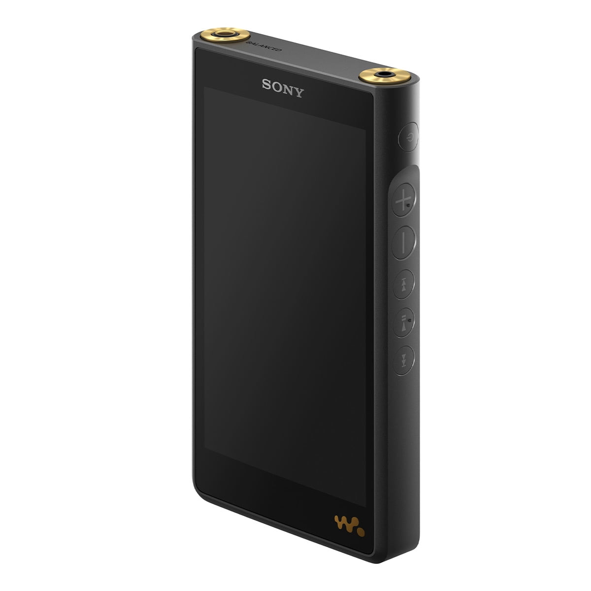 Sony Portable Bluetooth NW-WM1AM2 128GB Walkman Digital Music