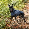 thumbnail image 6 of Gf Pet Reversible Elastofit Raincoat (pack Of 1), 6 of 7