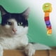 thumbnail image 3 of Juguete Interactivo jinwen Plegable para Gatos 2 en 1 con Orificio para Ventana Gato Túnel, 3 of 8