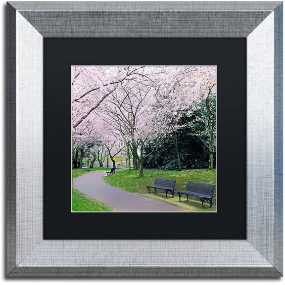 Trademark Fine Art "Spring Path" Canvas Art by CATeyes, Black Matte, Silver Frame
