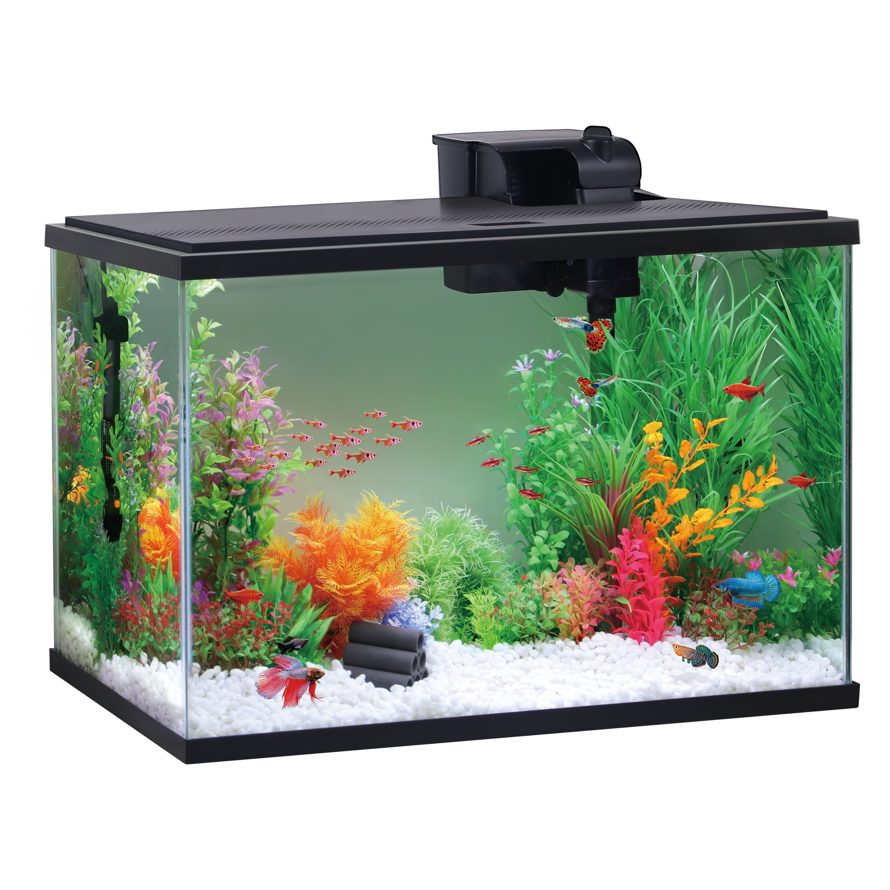 Marina 2.6 Gallon 360 Degree Aquarium Starter Kit Walmart