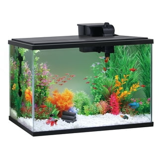 Pronetcus Large Turtle Tank Kit with 2 Aquatic Plants Decoration and Turtle  Tank Filter, Turtle Aquarium, Turtle Habitat Easy to Clean and Maintain. :  : Pet Supplies