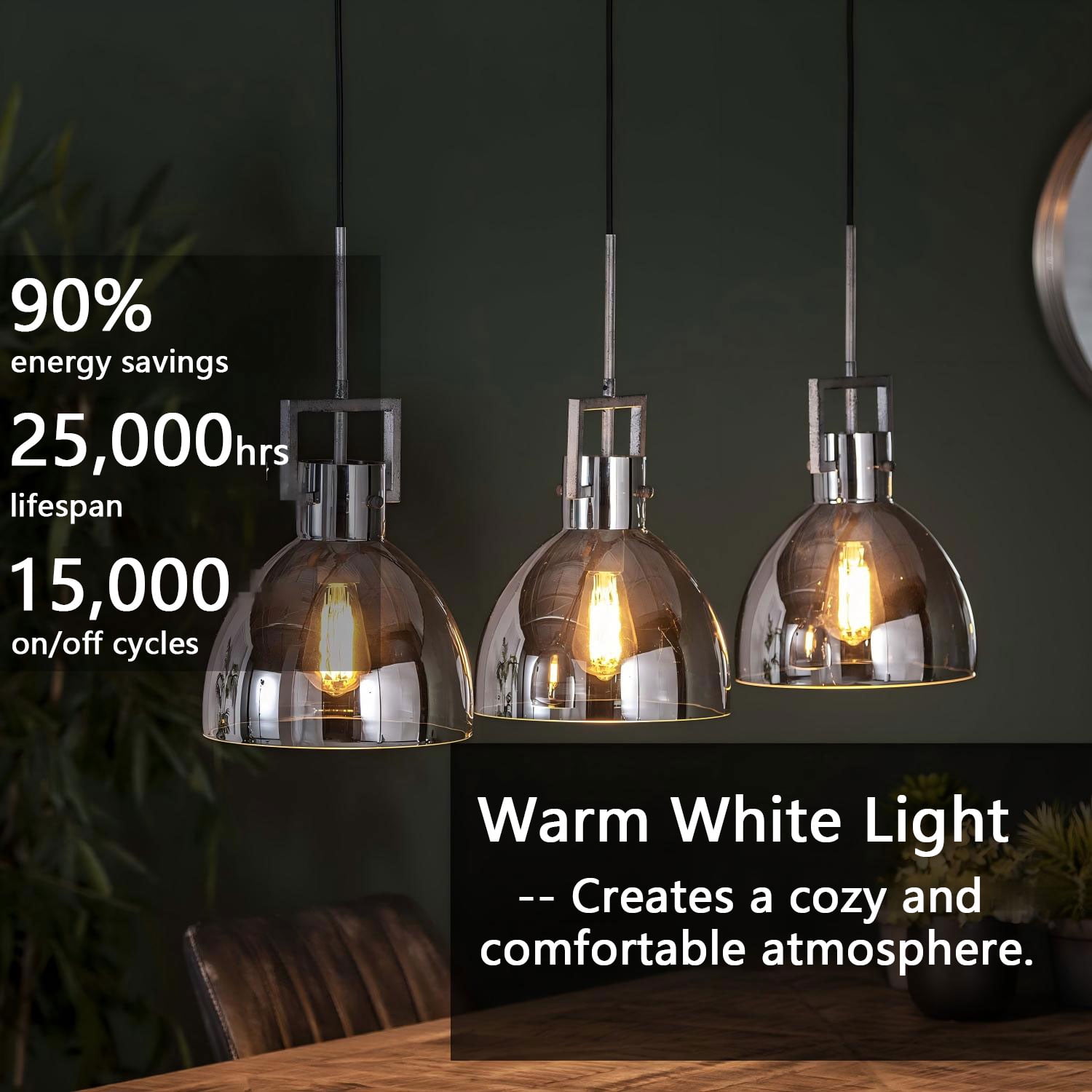 Roomrite LED Vintage Light Bulb, Edison Bulbs 4W (40W Equivalent) ST19 Warm Light Bulbs 2400K 300LM E26 Base,Non-Dimmable,Smoky-Gray Glass - 6 Pack